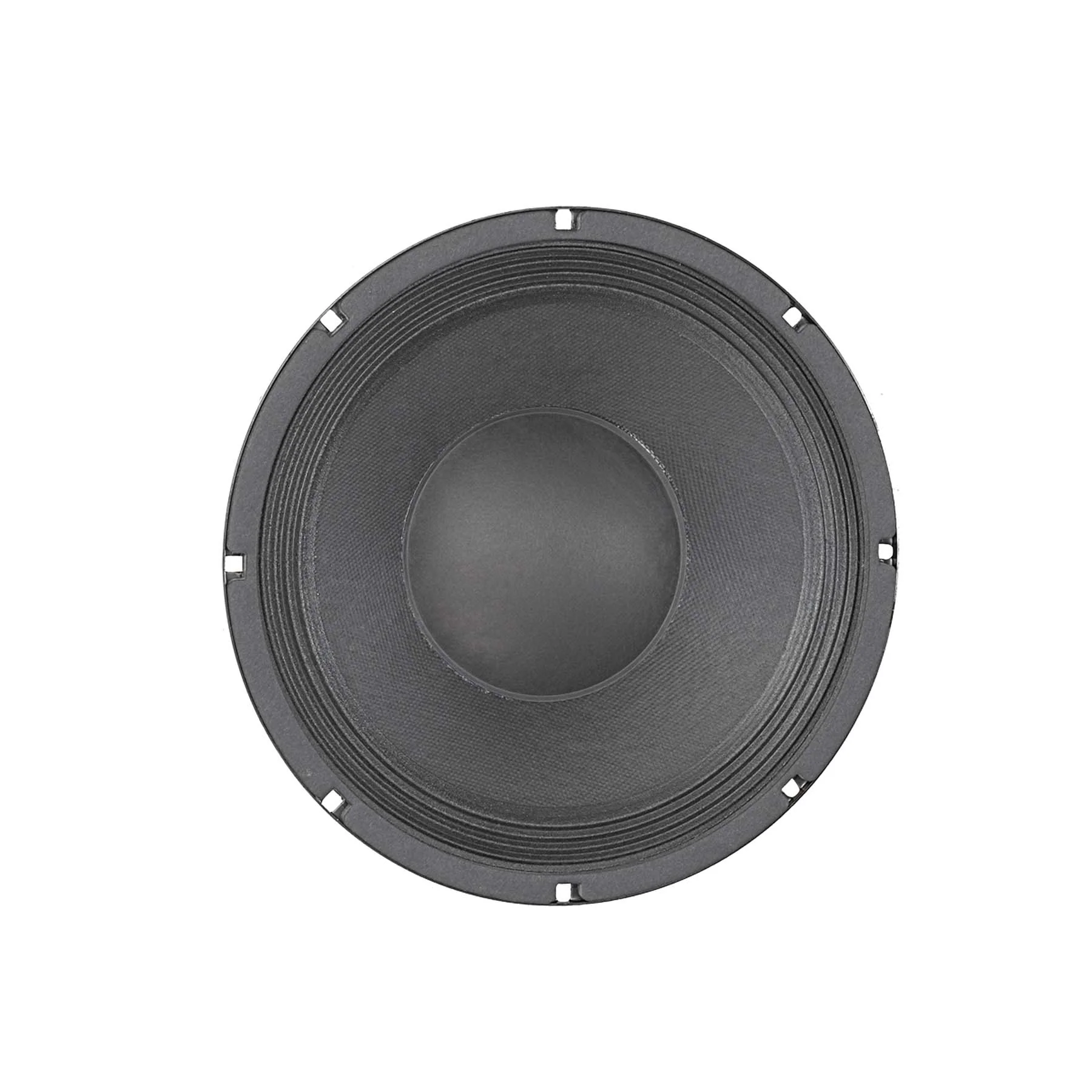 BETA-10A 10" American Standard Series Speaker - Image 2