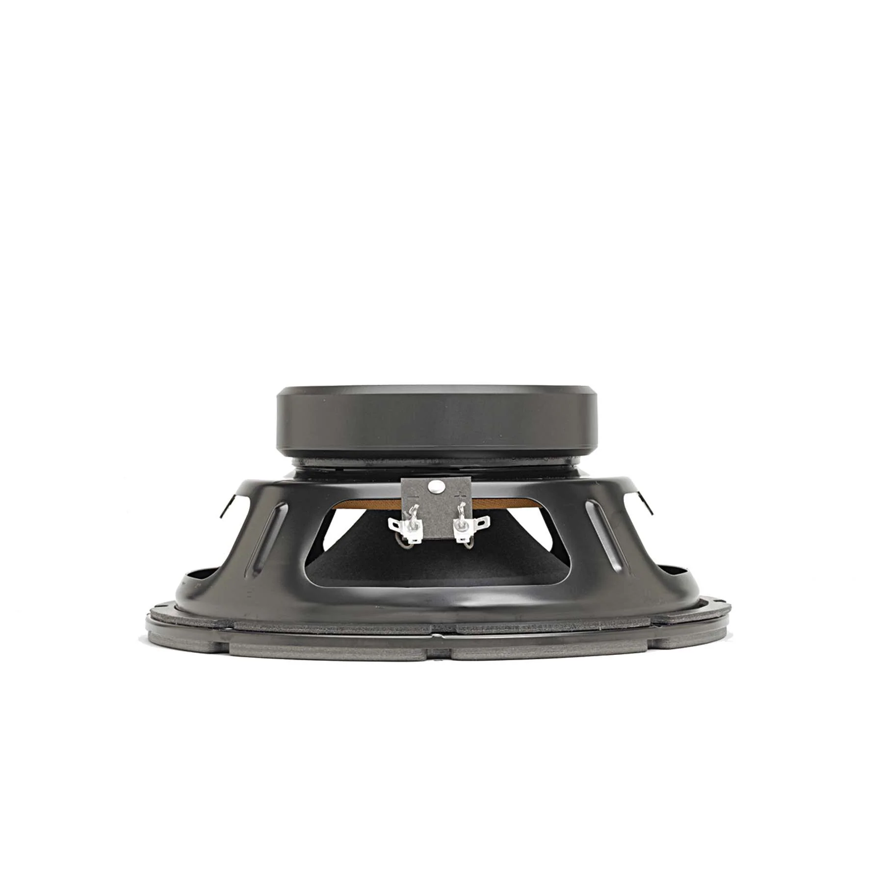 BETA 10CX 10" American Standard Series Speaker - Image 3