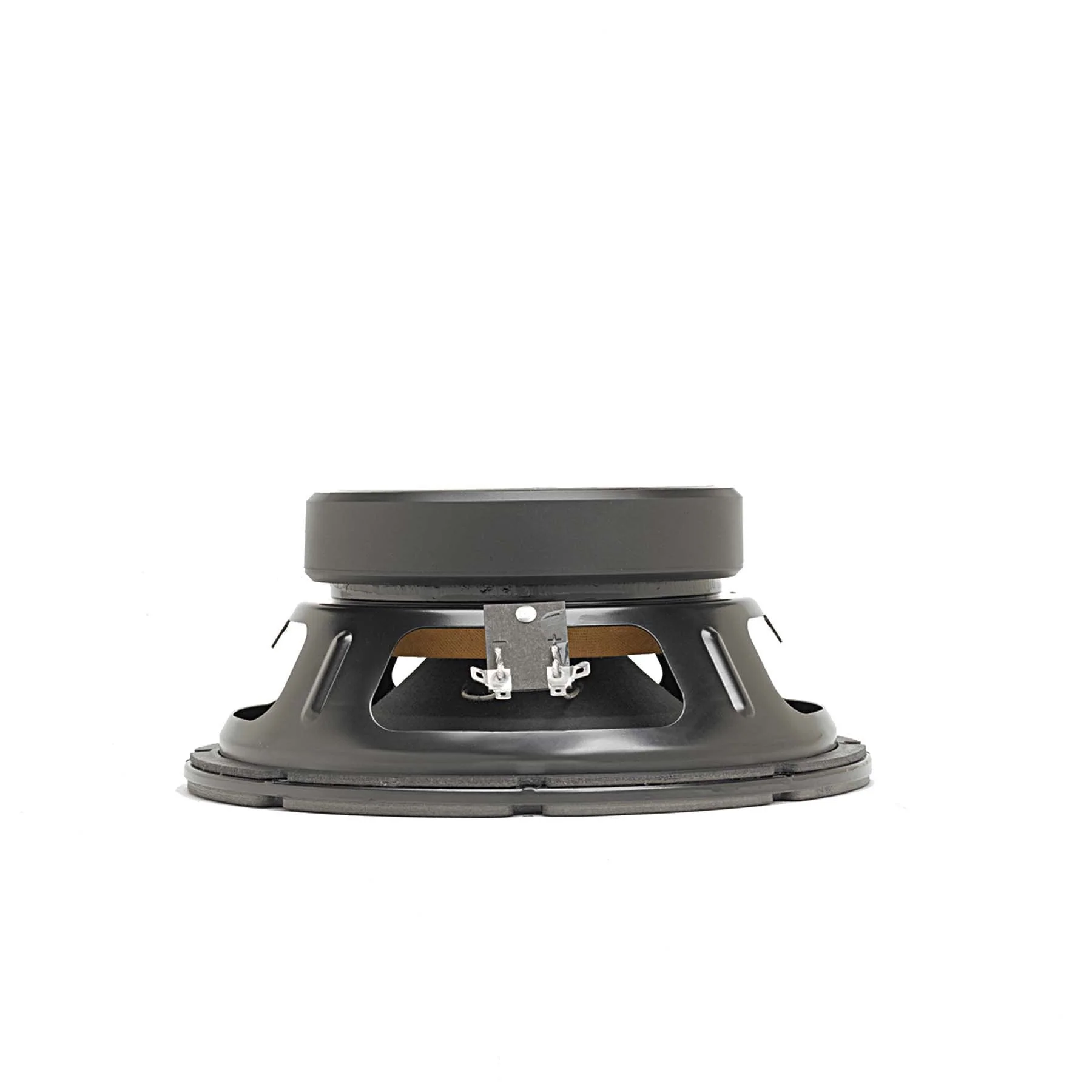 DELTA-10A-2 10" American Standard Series Speaker - Image 3