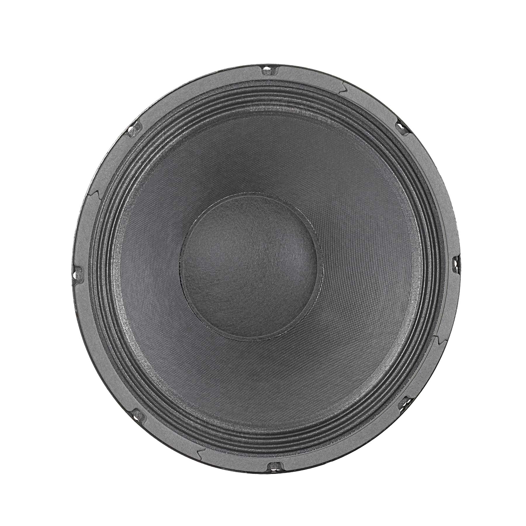 DELTA-12A 12" American Standard Series Speaker - Image 2