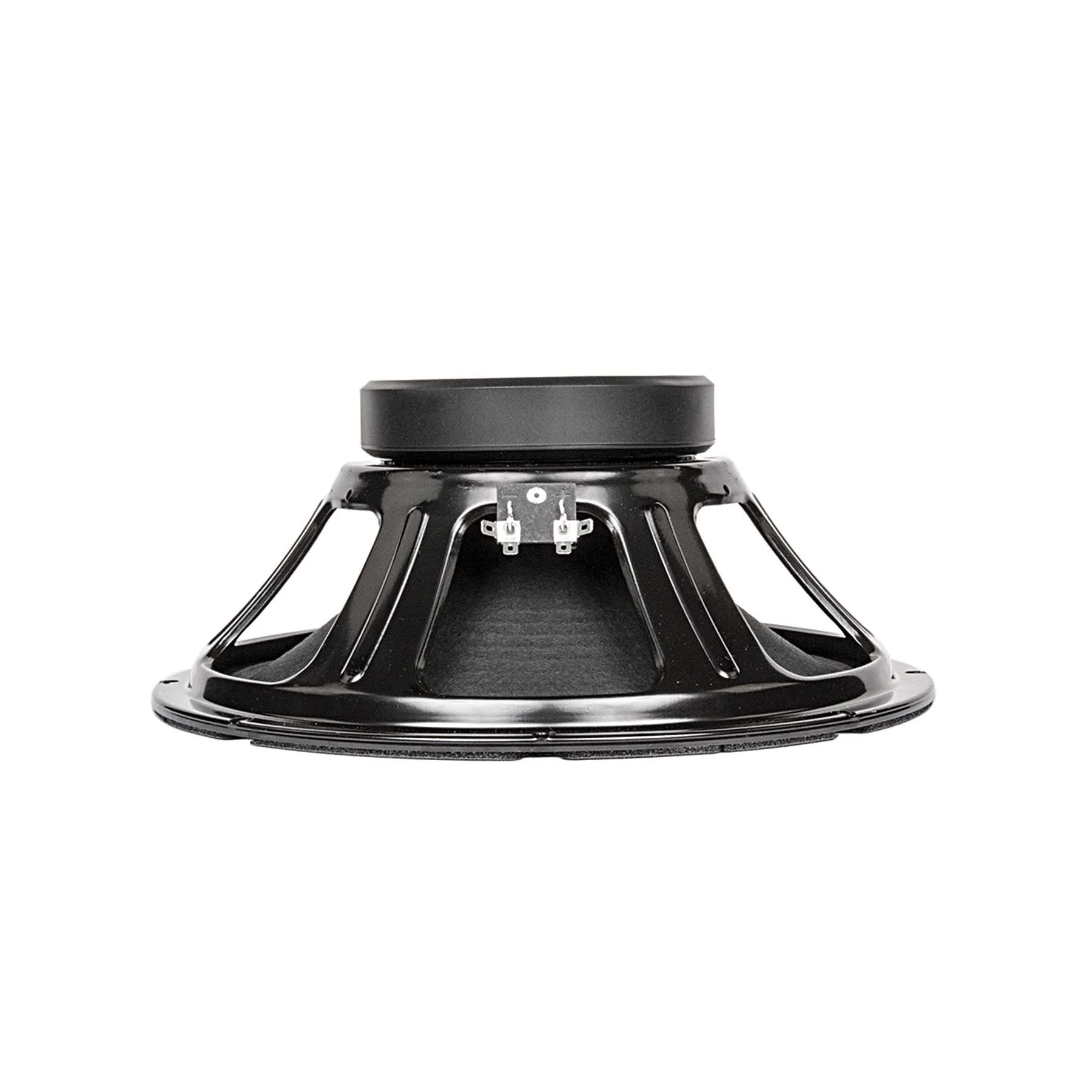 JS-1250 12" Signature Guitar Speaker - Image 3