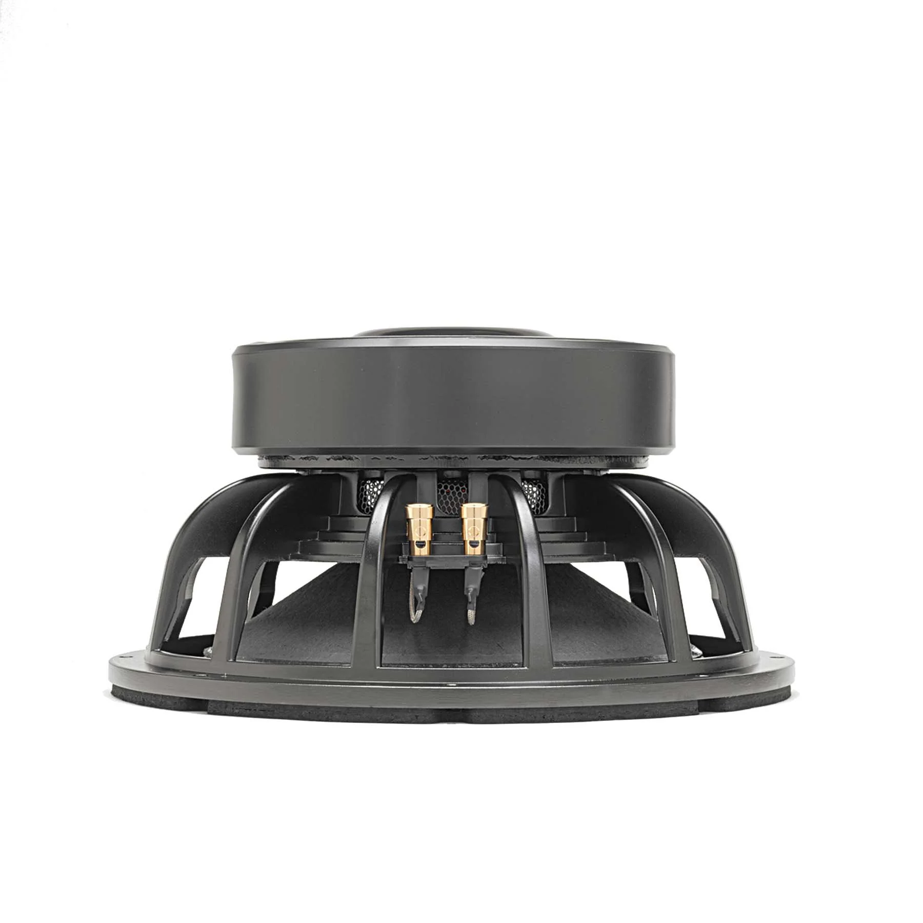 LAB 12 | 12" Professional Series Speaker - Image 3