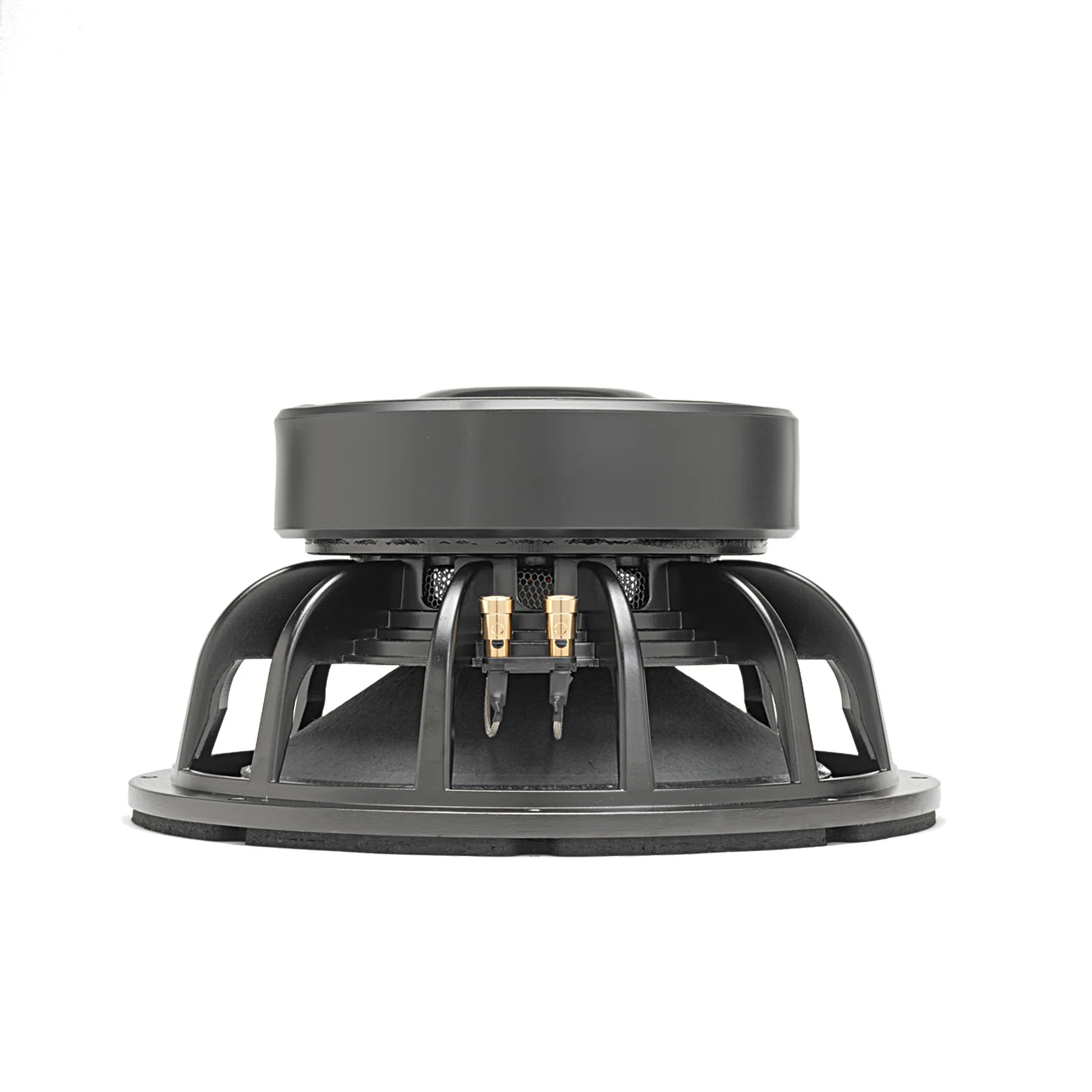 LAB 12C 12" Professional Series Speaker - Image 3