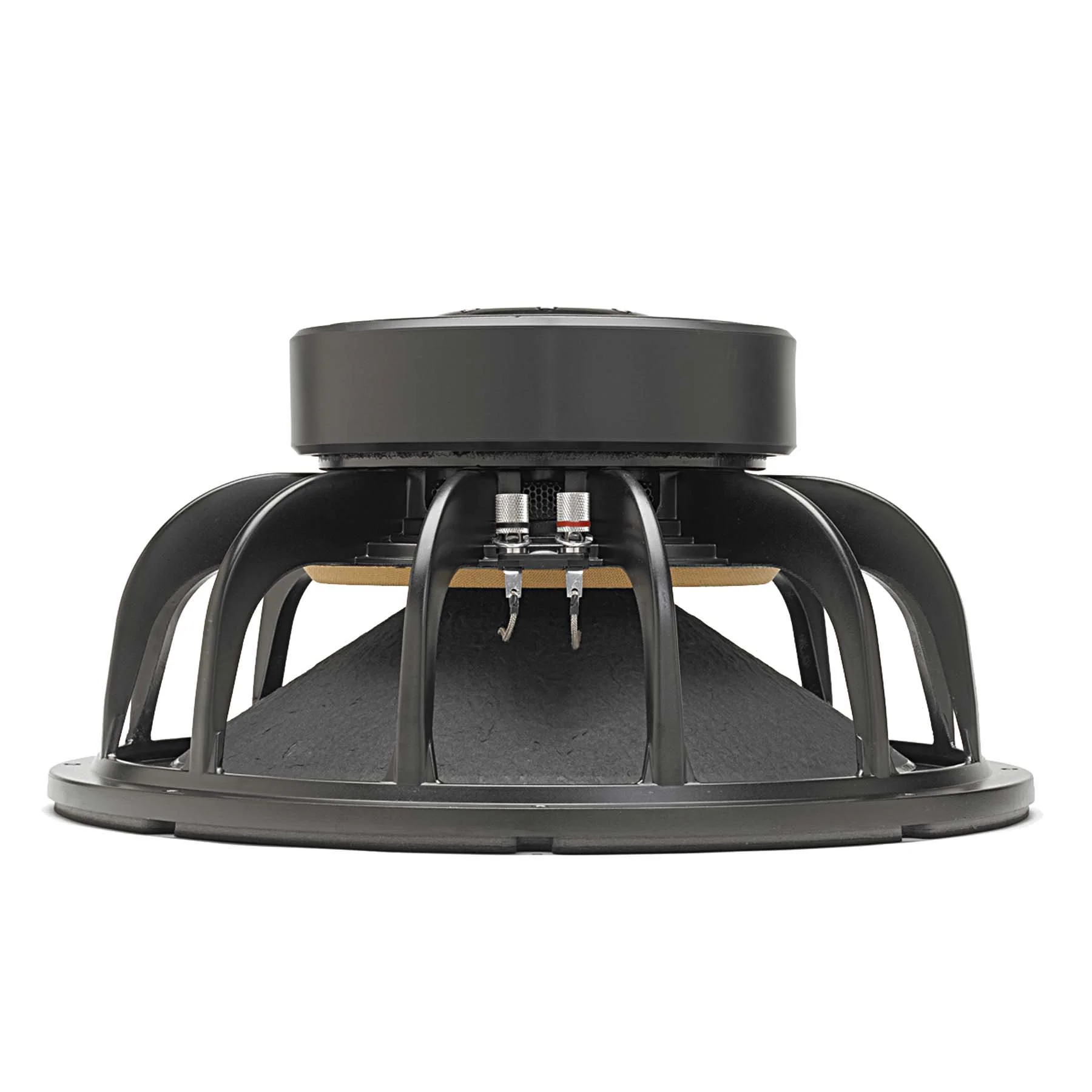 LAB 15 | 15" Professional Series Speaker - Image 3
