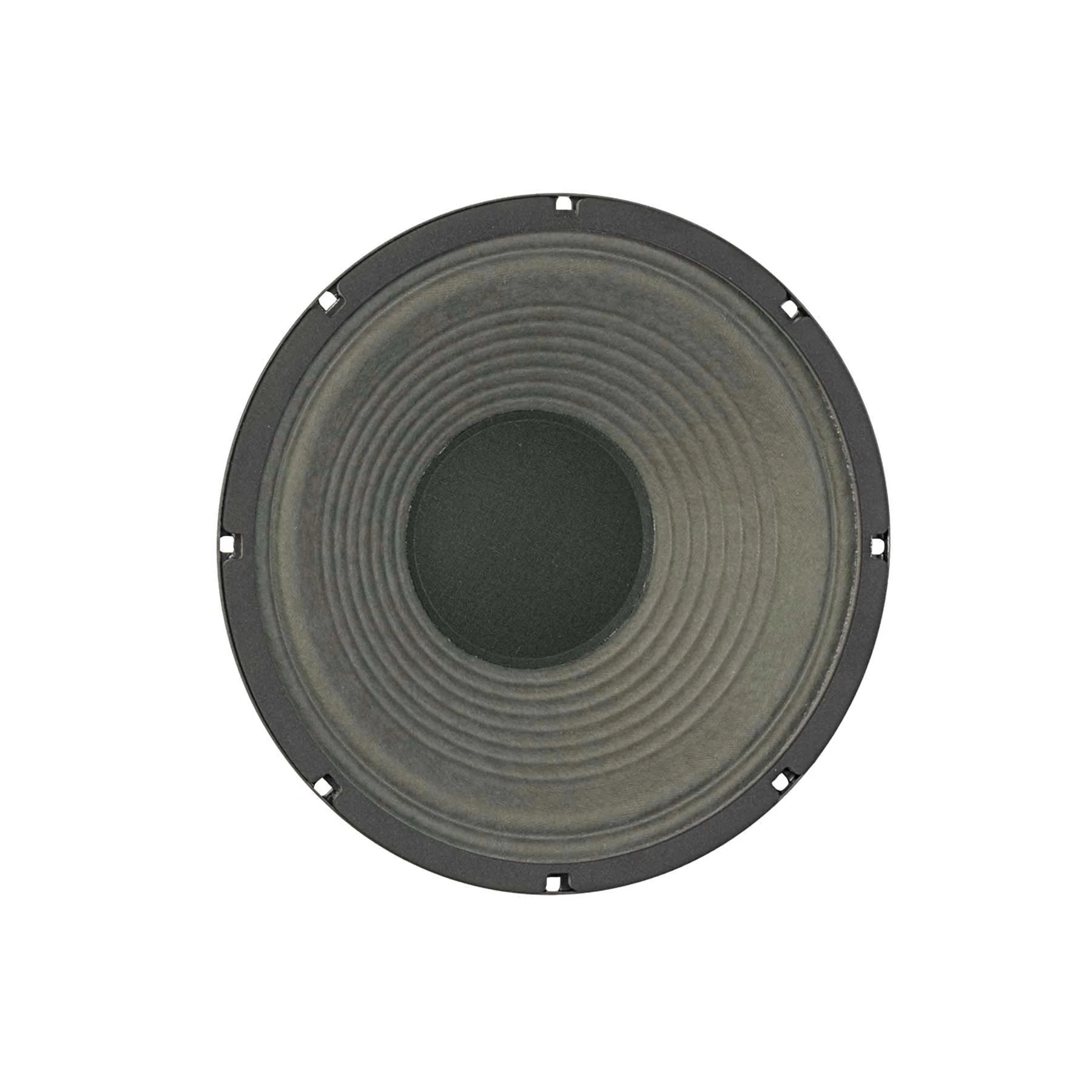LIL' BUDDY 10" Lead / Rhythm Guitar Speaker- Hemp - Image 2