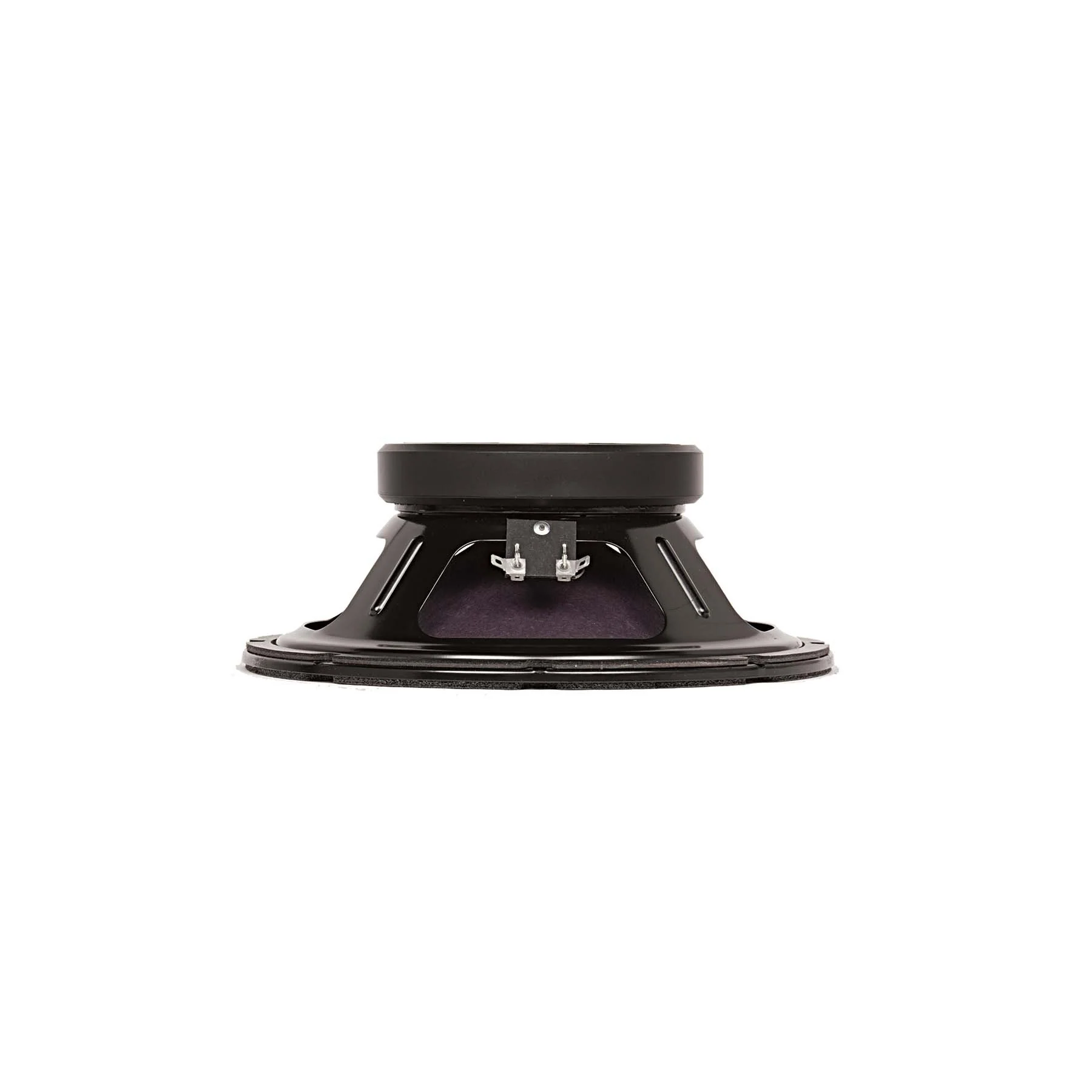 RAGIN CAJUN 10" Guitar Speaker-8 Ohm - Image 3
